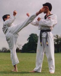 200px-Tkddemonstration.jpg